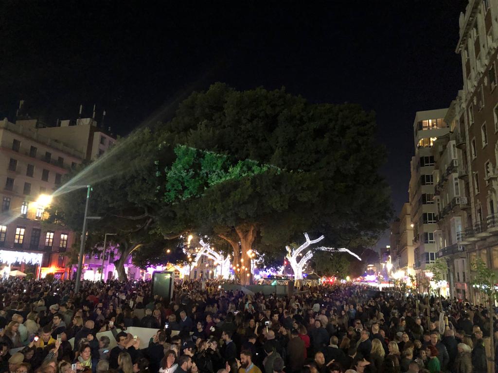 Durante los 40 días que duren los fastos navideños, la calle Larios se transformará en un bosque lleno de hojas y soles