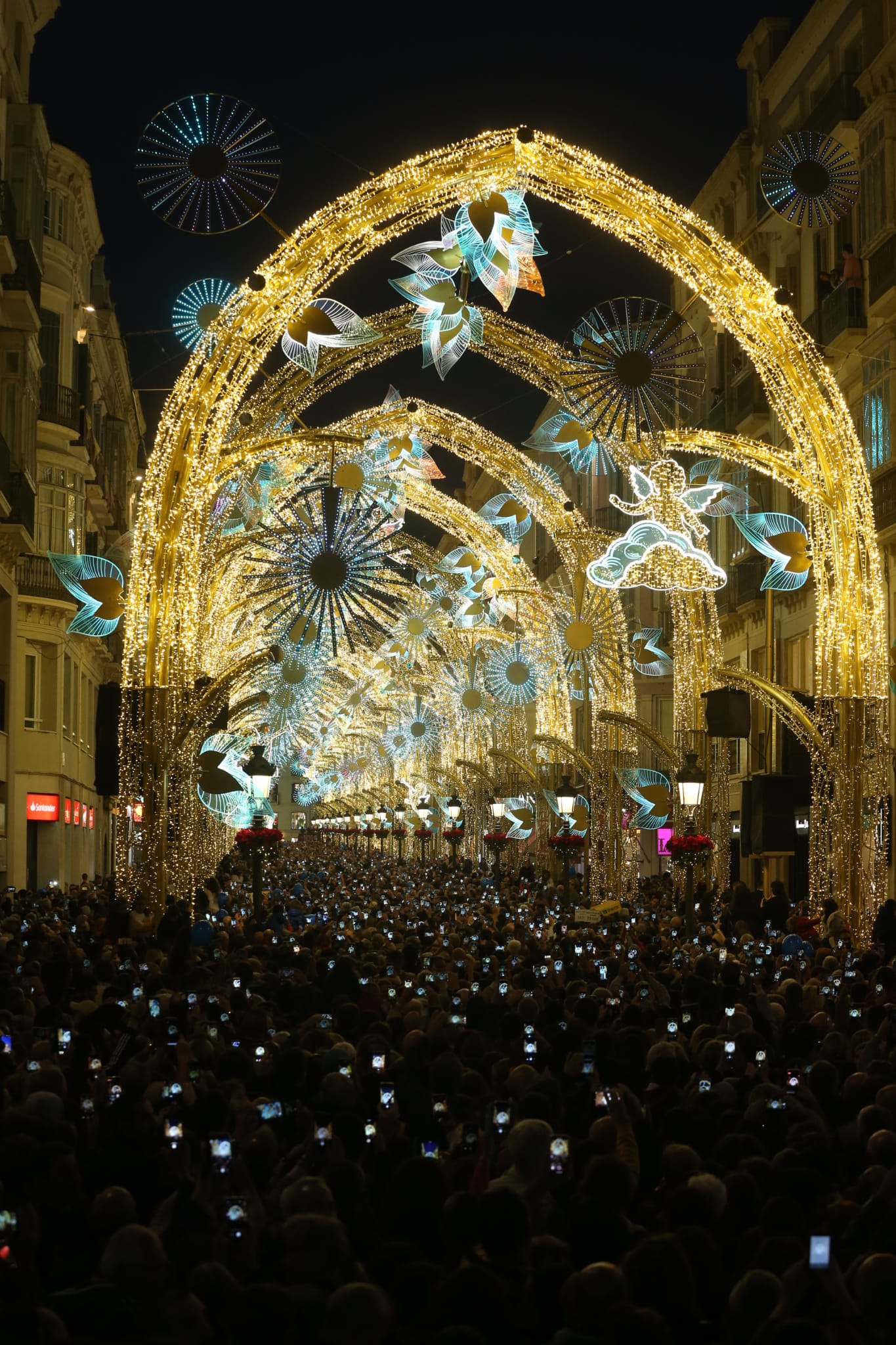 Durante los 40 días que duren los fastos navideños, la calle Larios se transformará en un bosque lleno de hojas y soles