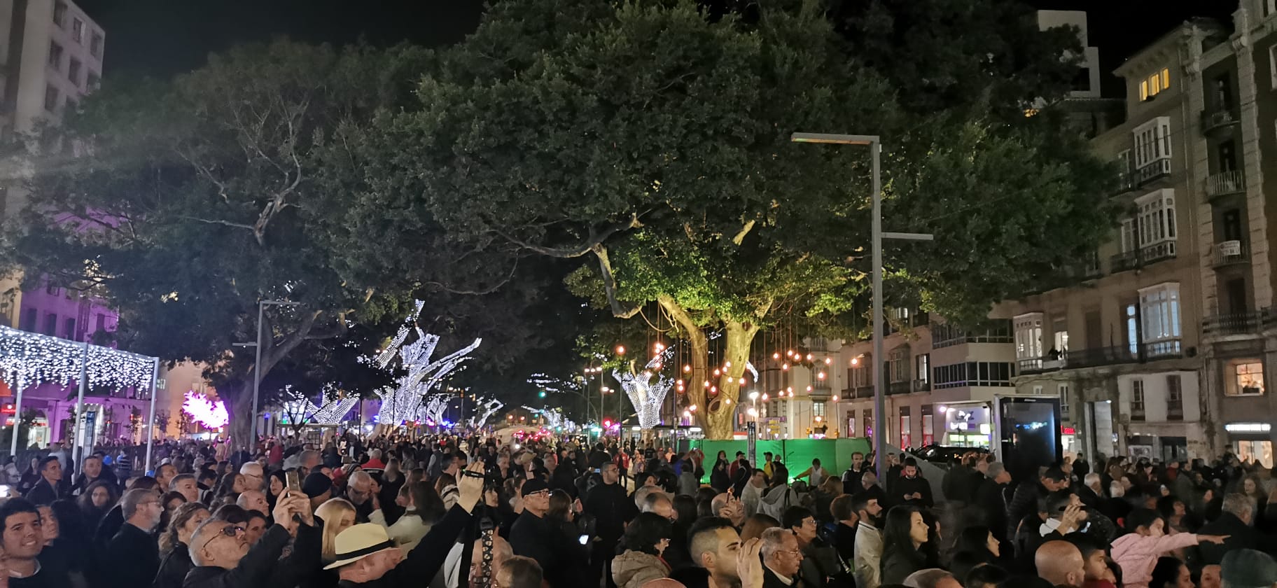 Durante los 40 días que duren los fastos navideños, la calle Larios se transformará en un bosque lleno de hojas y soles