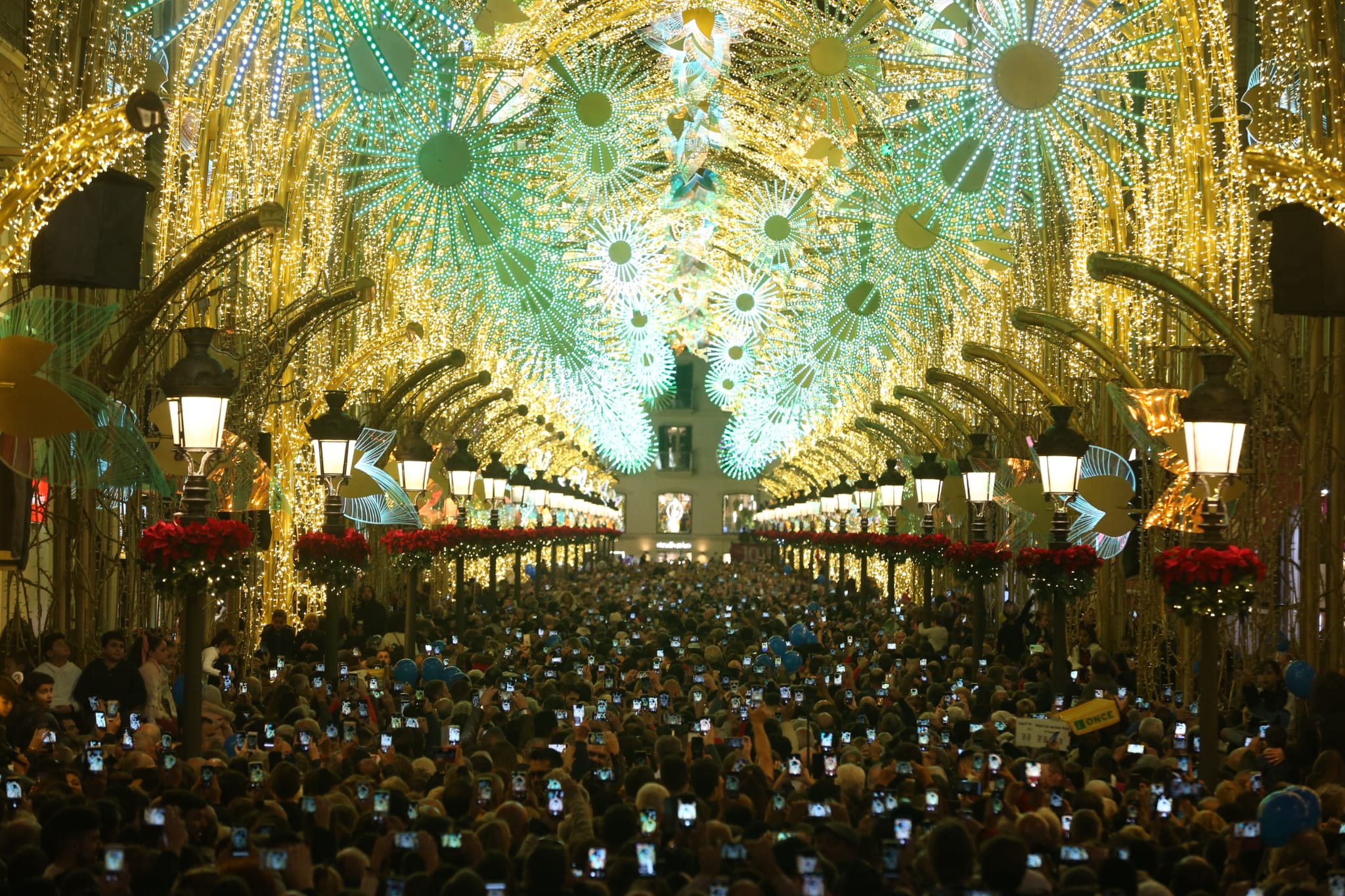 Durante los 40 días que duren los fastos navideños, la calle Larios se transformará en un bosque lleno de hojas y soles