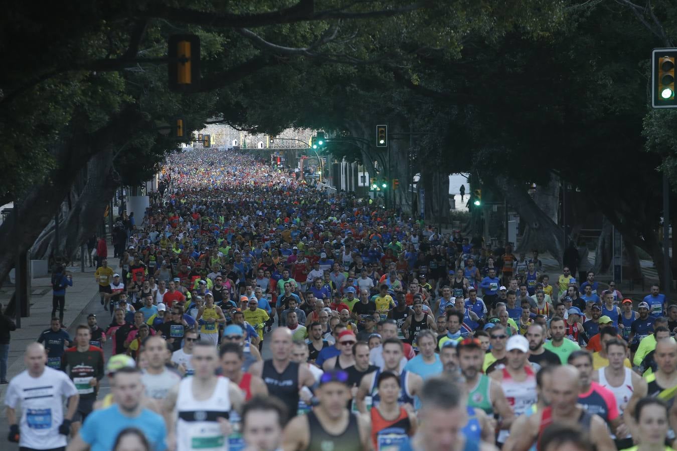 Las mejores imágenes del Maratón Málaga 