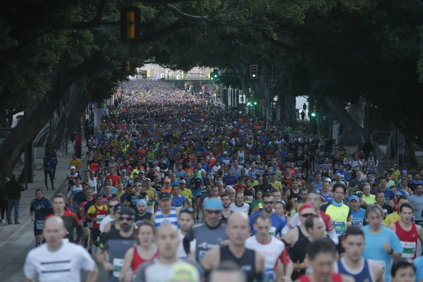 Las mejores imágenes del Maratón Málaga 