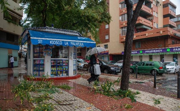 Las fuertes rachas de viento han provocado la caída de ramas en distintos puntos. 