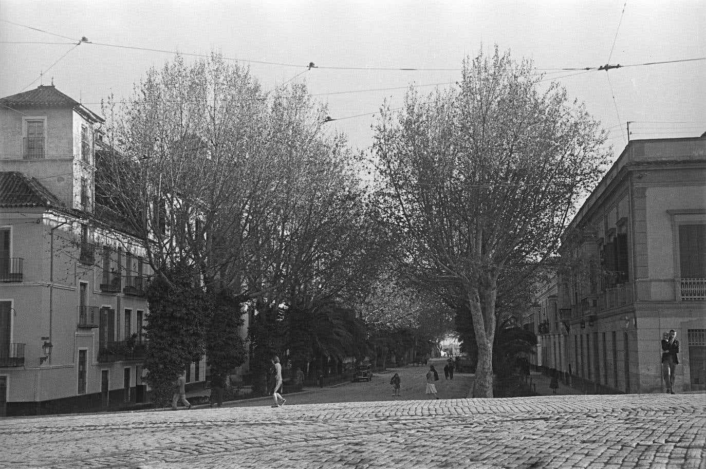 Alameda de Colón, vista desde la Alameda Principal. Hacia 1950