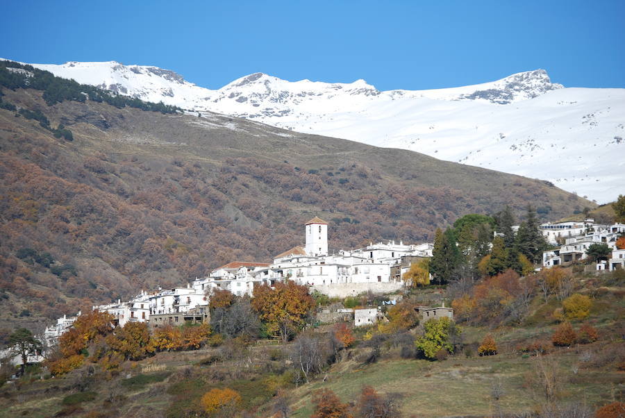 Capileira (Granada)