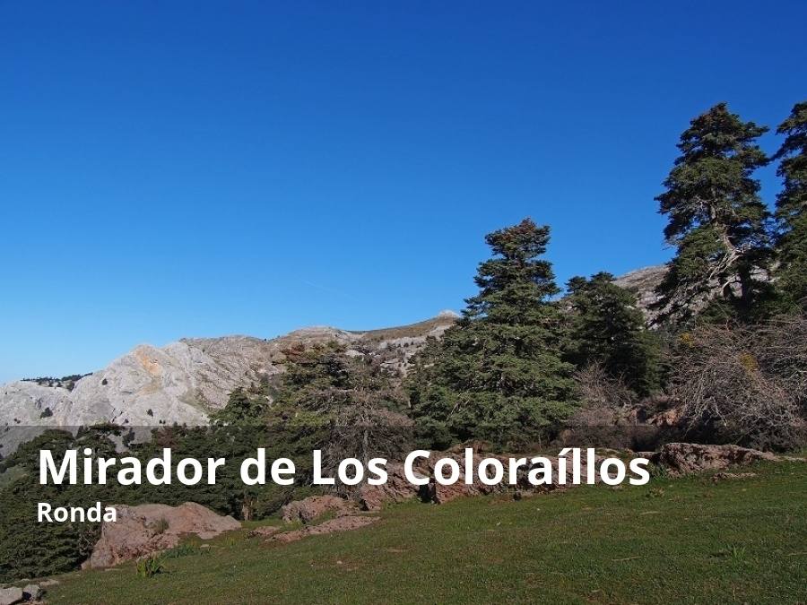 Otro de los rincones más espectaculares de esta comarca también hay que buscarlo en el parque natural de la Sierra de las Nieves. En concreto, dentro de territorio rondeño, tras subir por la cañada y pinsapar de las Ánimas, se puede visitar el conocido como Mirador de los Coloraíllos. Este balcón natural ofrece singulares vistas de la zona norte de este parque natural, así como sus estribaciones hacia las cercanas sierras Blanquilla e Hidalga. Desde allí también se pueden ver otros enclaves singulares de este espacio protegido, como el Peñón de Ronda o el Tajo del Canalizo, entre otros. 