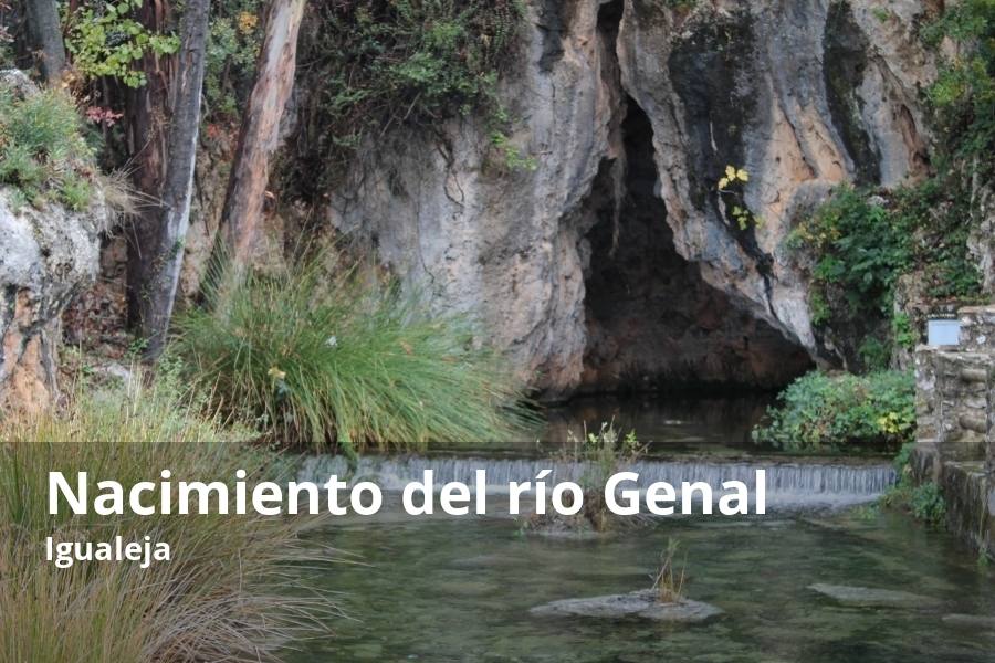 En la entrada del pueblo de Igualeja, se puede ver el que se considera como nacimiento del Genal, ya que este río, en realidad, también se alimenta de diversos arroyos y riachuelos que nacen en otros pueblos de la zona como Júzcar, Cartajima o Faraján. Pero, por su belleza y singularidad, éste es el nacimiento del emblemático río que cruza el valle de mayor belleza de toda la provincia. En este rincón, distinguido como monumento natural, se puede ver cómo el agua mana con fuerza del interior de una gruta formando a su salida una gran poza cristalina y transparente que permite ver con total nitidez el fondo. No es el único lugar de donde sale el agua, ya que hay algunos huecos entre las rocas por donde este bien natural ve por primera vez la luz solar para formar parte del caudal de este río de la Serranía de Ronda.