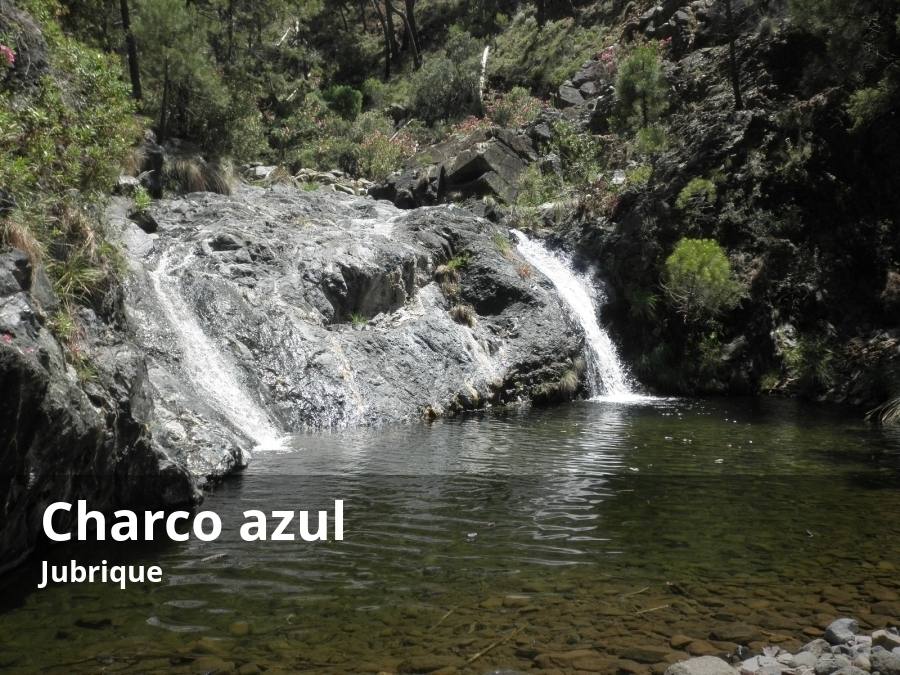 Aunque está más cerca del pueblo de Genalguacil (por la carretera de Peñas Blancas), esta poza del arroyo Estercal se encuentran en el término municipal de Jubrique. Se trata de una auténtica piscina natural de este río que lleva sus aguas hasta el Genal. Para llegar hasta él hay que recorrer algo más de medio kilómetro por un carril de tierra. Si se continúa río arriba, se puede llegar hasta otras pozas interesantes, como la del Charco Encantado.