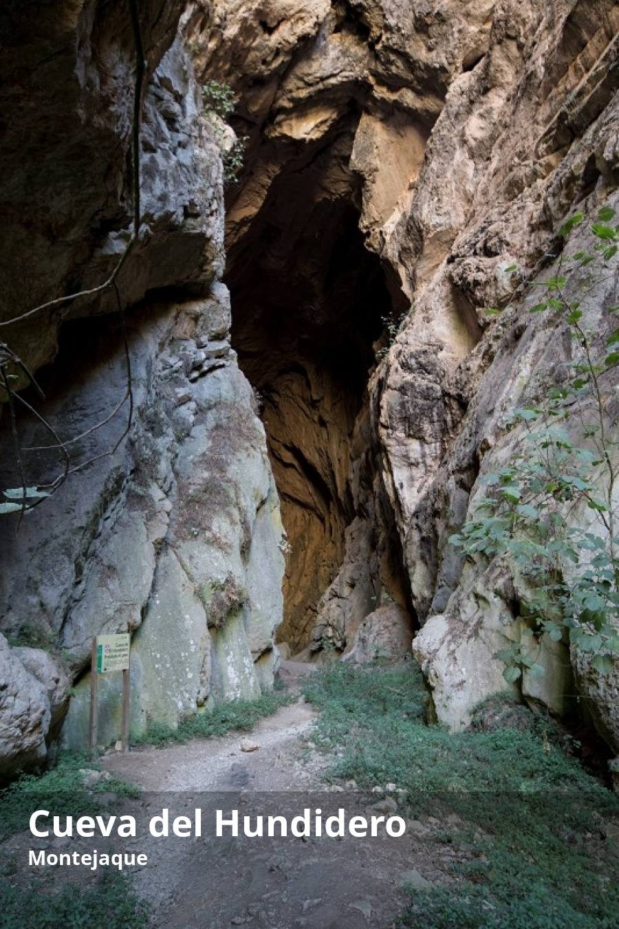 Al otro lado de la Cueva del Gato, pero ya en territorio de Benaoján se encuentra esta gruta que ha sido uno de los últimos enclaves de la provincia de Málaga en ser nombrado Monumento Natural de Andalucía. Lo que más impresiona en su exterior es la altura de la cavidad, que tiene algo más de cincuenta metros de longitud. Además de esta espectacular entrada, lo singular de este enclave es que forma parte del complejo espeleológico por el que discurre el río subterráneo Gaduares o Campobuche, que guarda relación directa con el siguiente hito de esta ruta, la presa de los Caballeros.