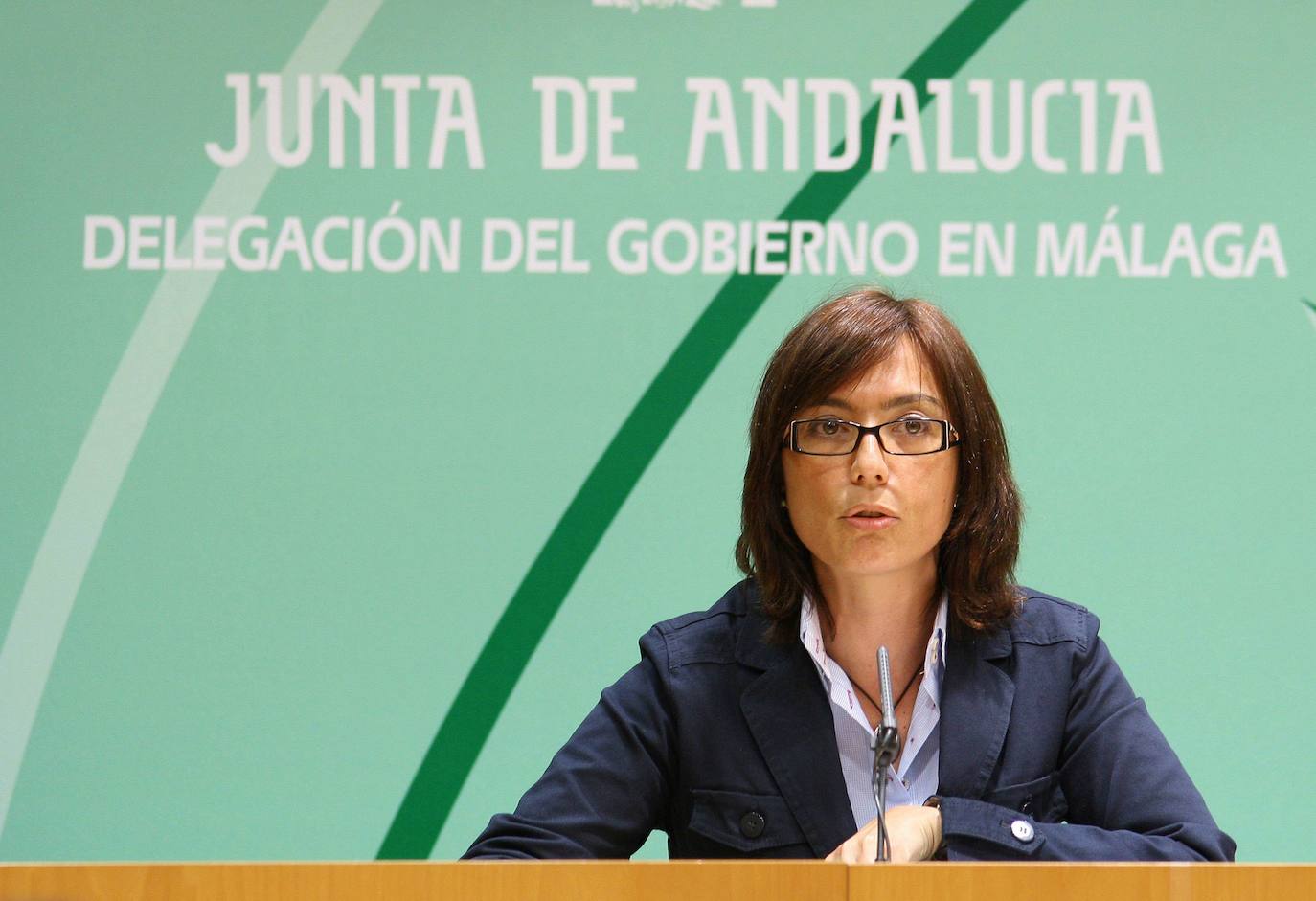 María Gámez ha ocupado varios cargos en Málaga desde que en 2004 fue nombrada delegada provincial de la Consejería de Innovación, Ciencia y Empresa. En la actualidad es subdelegada del Gobierno en Málaga 