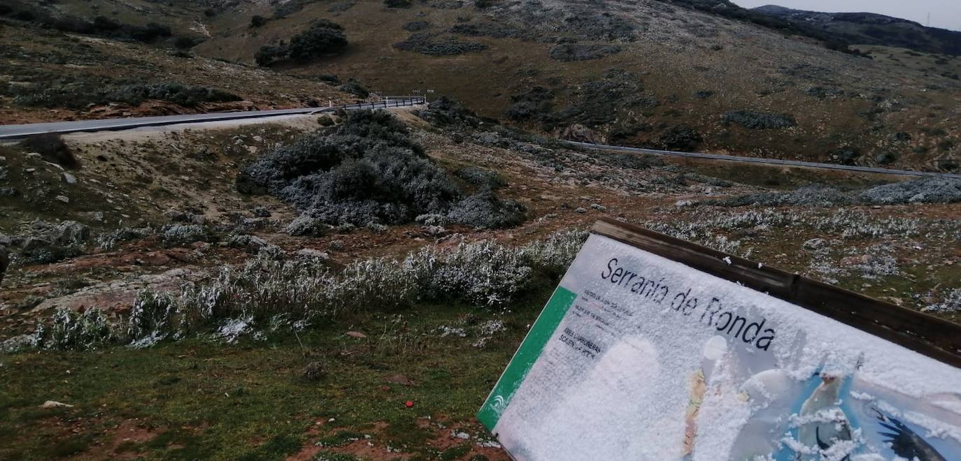 Nieve en la Serranía de Ronda. 