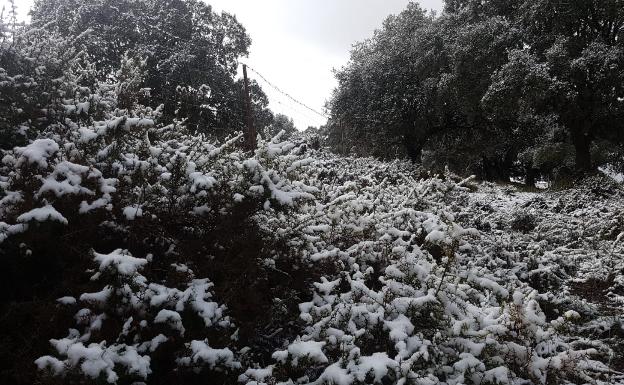 Meteorología prevé lluvias intensas el miércoles en Málaga