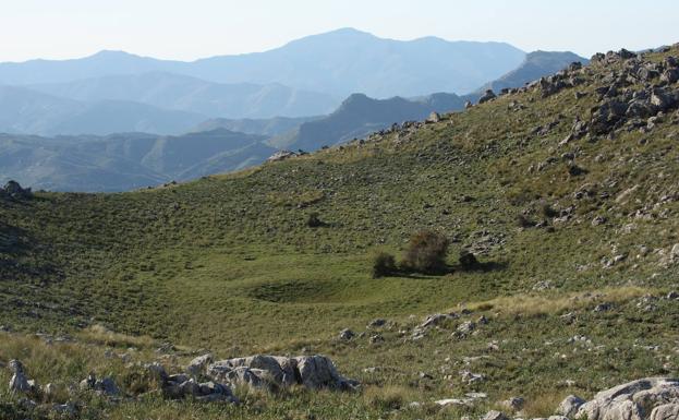 Pozo en la sierra de Líbar (Benaoján). 