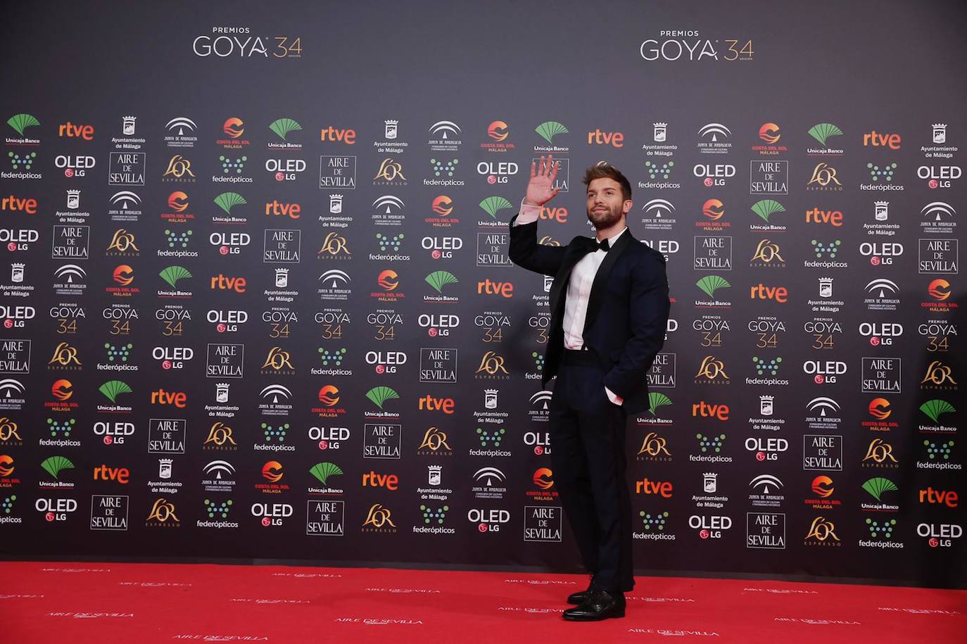 La jornada de los premios Goya que acoge el palacio de los Deportes José María Martín Carpena, en imágenes. 