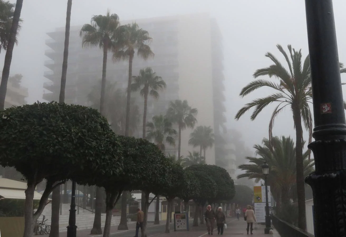 Marbella ha amanecido bajo el manto del taró, una palabra de origen fenicio que se refiere a la también llamada boria, esto es, niebla de advección marítima 