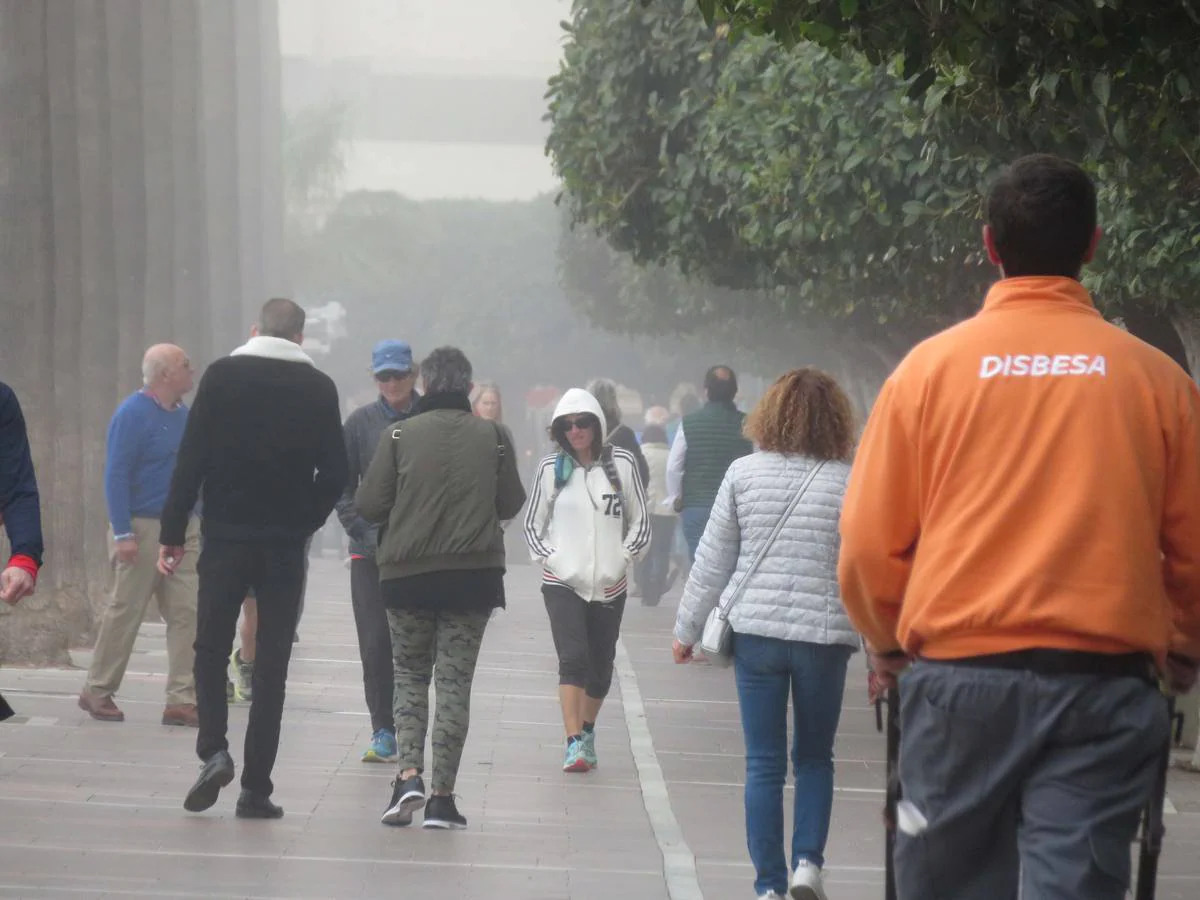 Marbella ha amanecido bajo el manto del taró, una palabra de origen fenicio que se refiere a la también llamada boria, esto es, niebla de advección marítima 