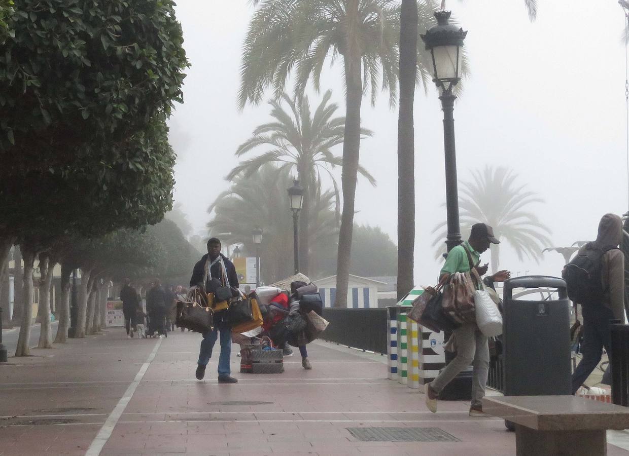 Marbella ha amanecido bajo el manto del taró, una palabra de origen fenicio que se refiere a la también llamada boria, esto es, niebla de advección marítima 