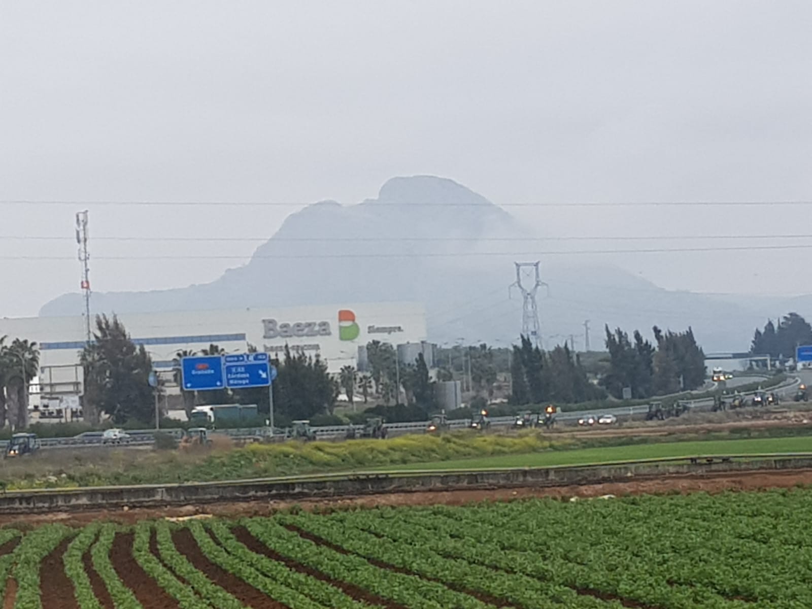 Las manifestaciones de agricultores y ganaderos que están recorriendo España desde el pasado mes de enero para protestar contra los bajos precios del aceite de oliva y de los productos hortofrutícolas han llegado a la provincia con una gran tractorada en el municipio de Antequera.