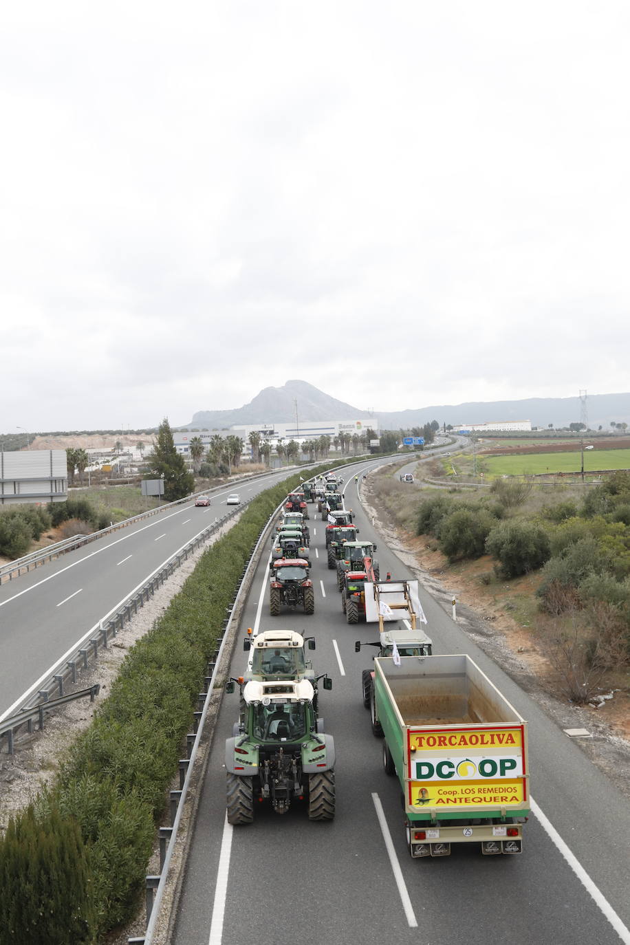 Las manifestaciones de agricultores y ganaderos que están recorriendo España desde el pasado mes de enero para protestar contra los bajos precios del aceite de oliva y de los productos hortofrutícolas han llegado a la provincia con una gran tractorada en el municipio de Antequera.