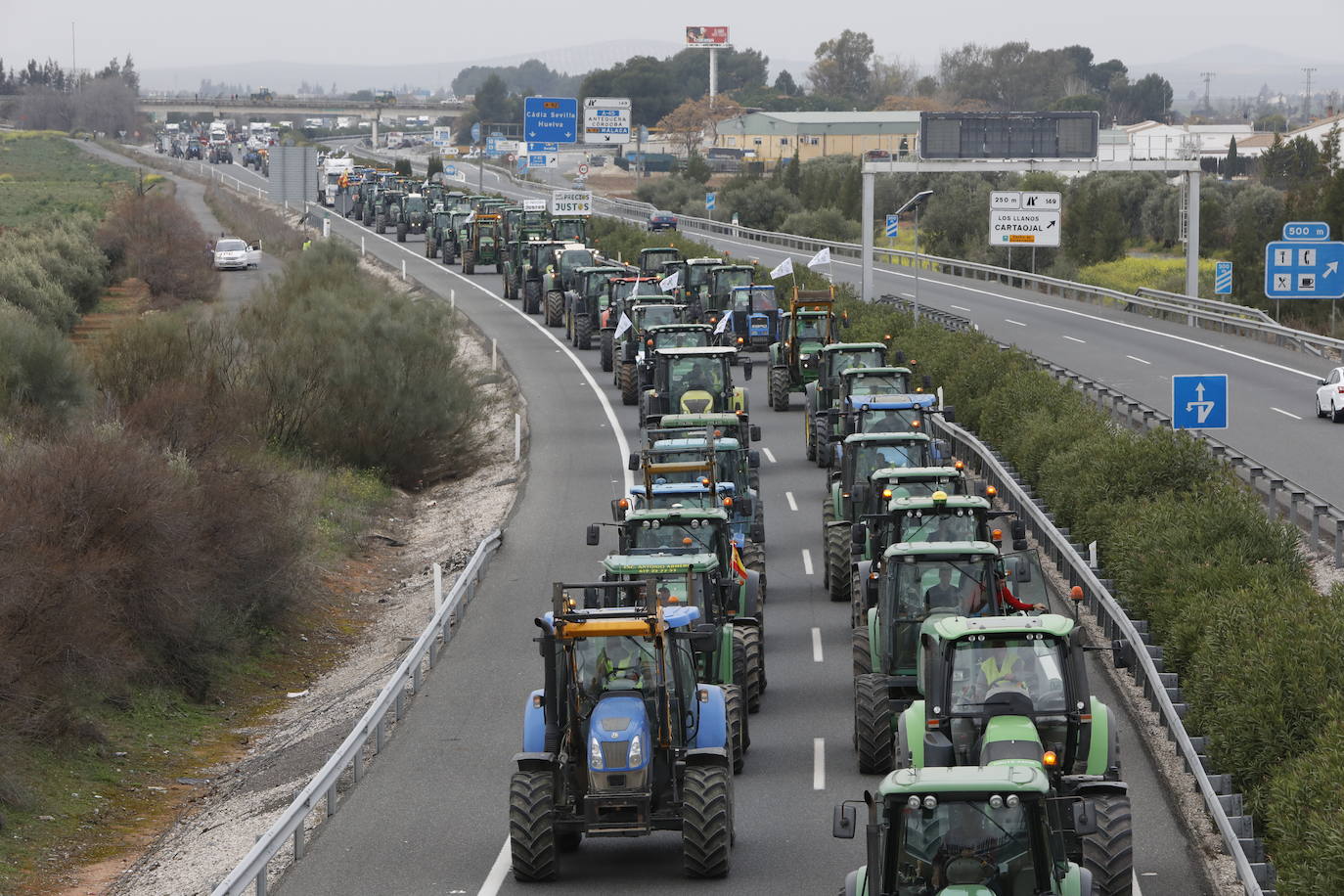 Las manifestaciones de agricultores y ganaderos que están recorriendo España desde el pasado mes de enero para protestar contra los bajos precios del aceite de oliva y de los productos hortofrutícolas han llegado a la provincia con una gran tractorada en el municipio de Antequera.