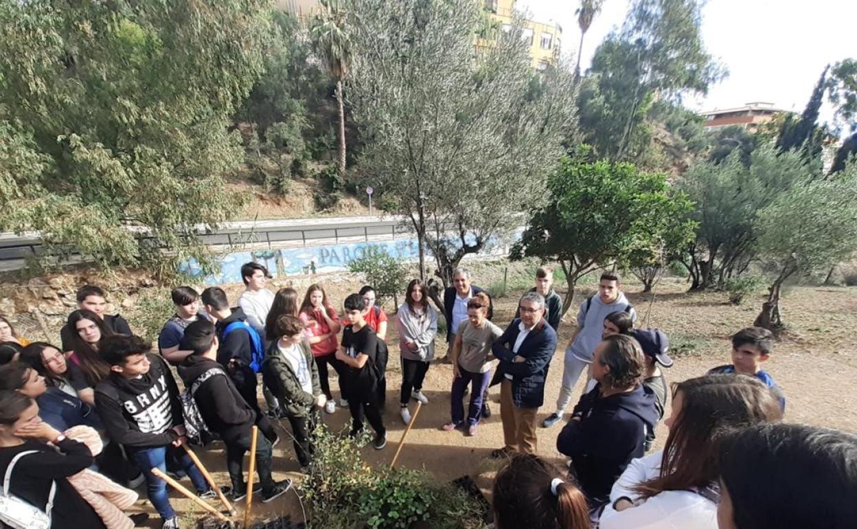 Jornada de reforestación en Rincón de la Victoria. 