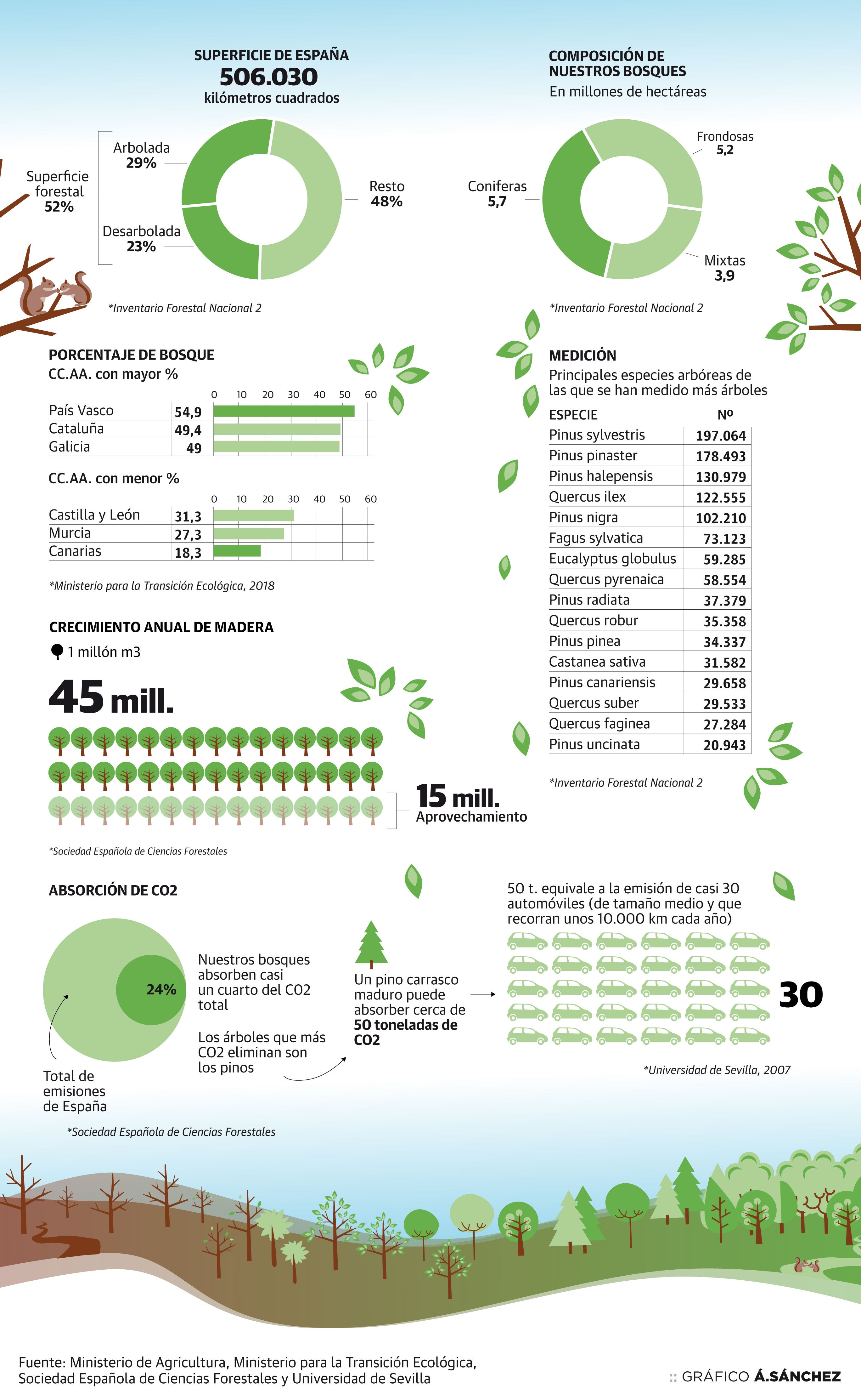 Radiografía de los bosques nacionales