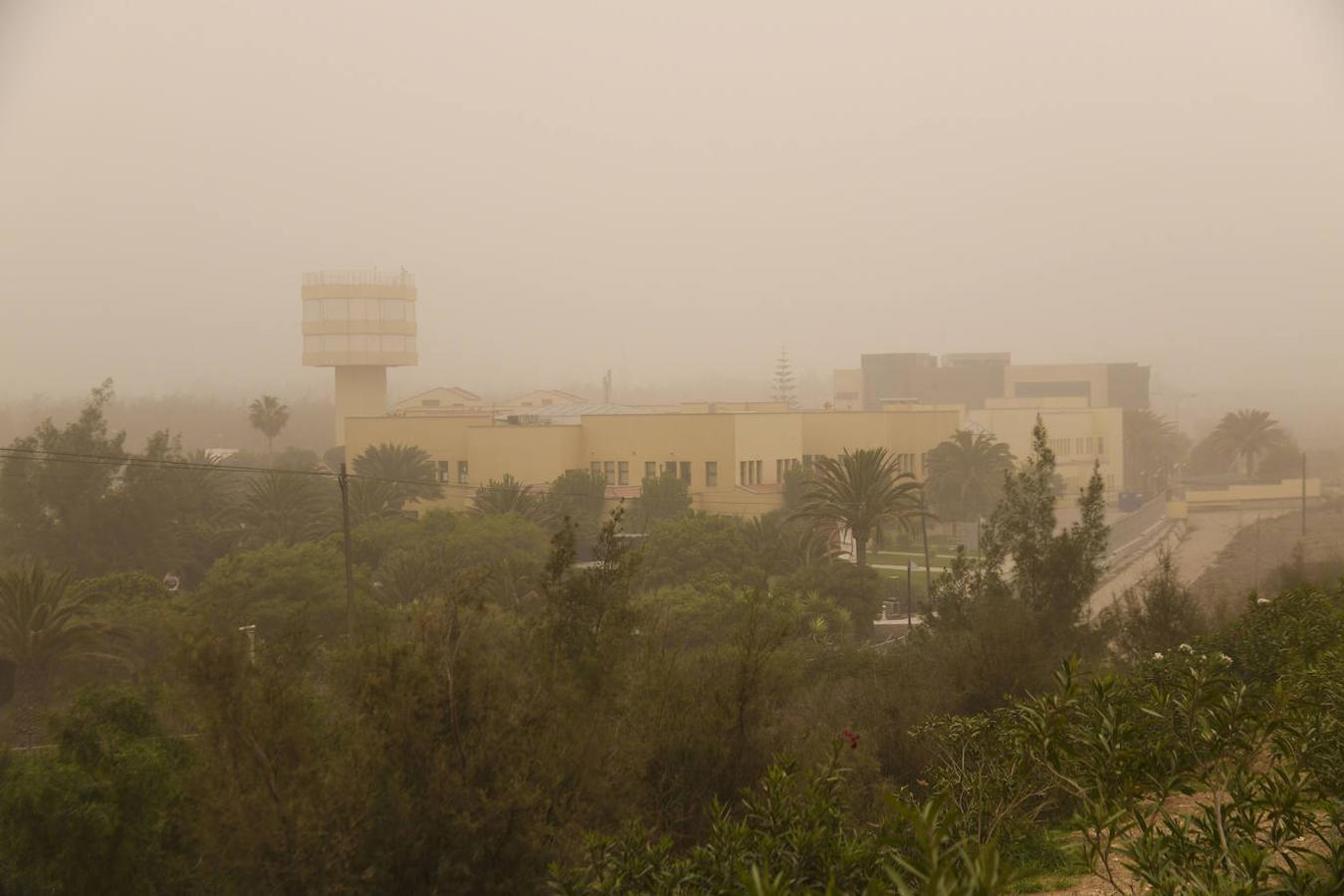 El polvo hace que la visibilidad sea de unos centenares de metros.