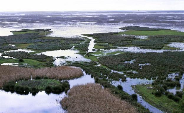 Una vista a una zona del Parque Natural de Doñana. 