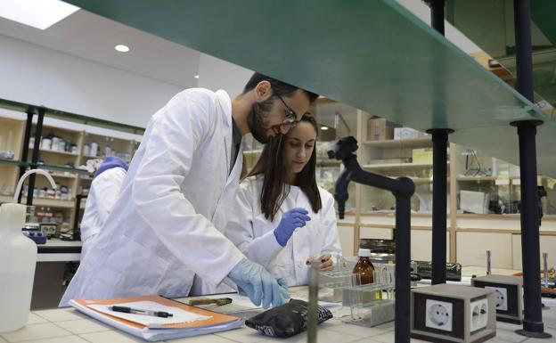 Estudiantes de un ciclo Superior de Química. 