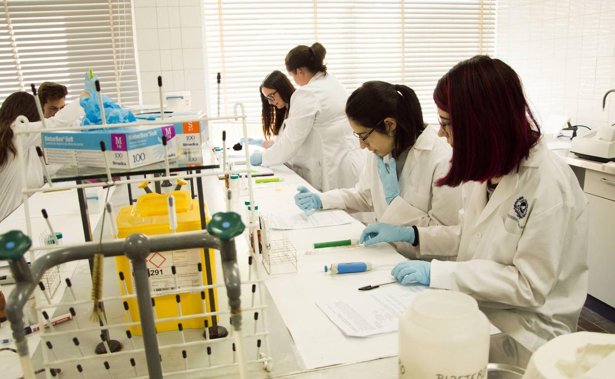 Alumnos de Medicina, durante sus prácticas en un laboratorio de la facultad. 