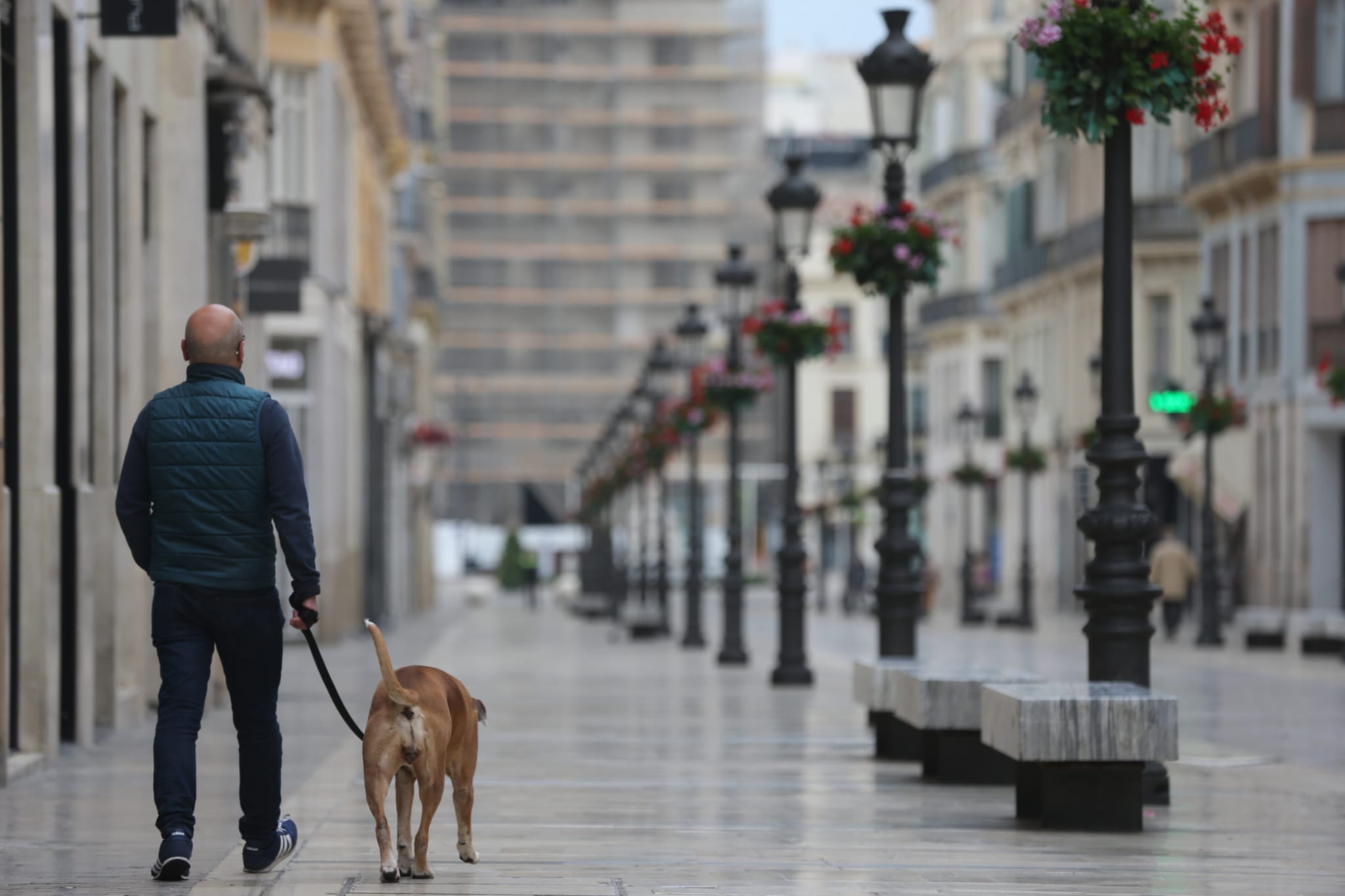 El Centro de Málaga, este domingo.