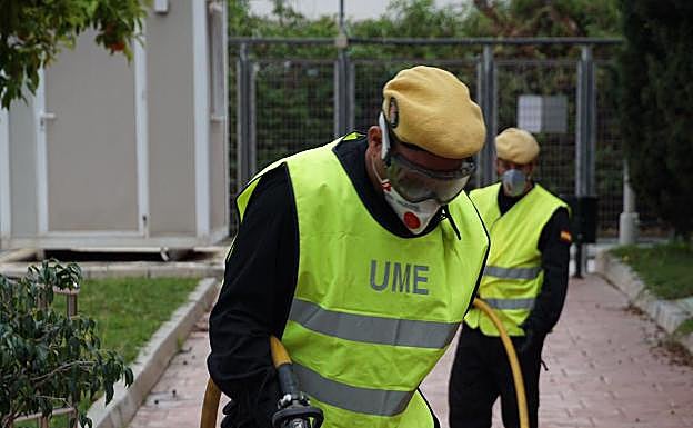 Imagen principal - Imágenes tomadas durante la desinfección. 