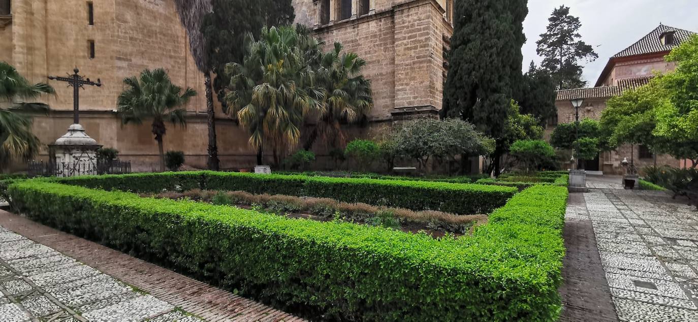 Este domingo nos deja imágenes insólitas de una Málaga en cuarentena.