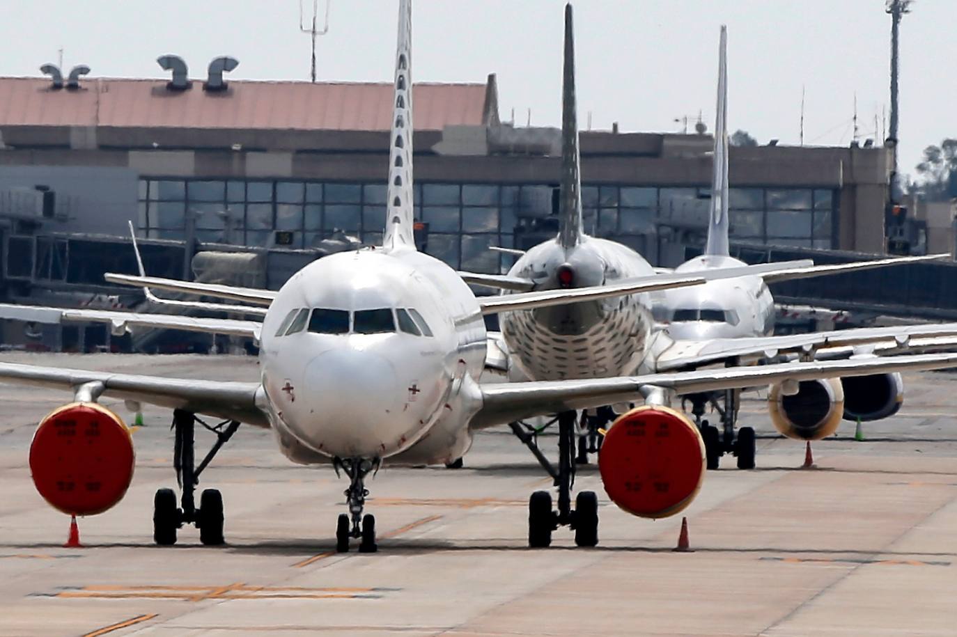 Mostradores de facturación y otras instalaciones del aeropuerto de Málaga vacíos este lunes. 