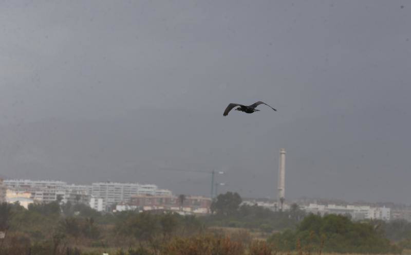 Efectos del temporal en Málaga, este martes.