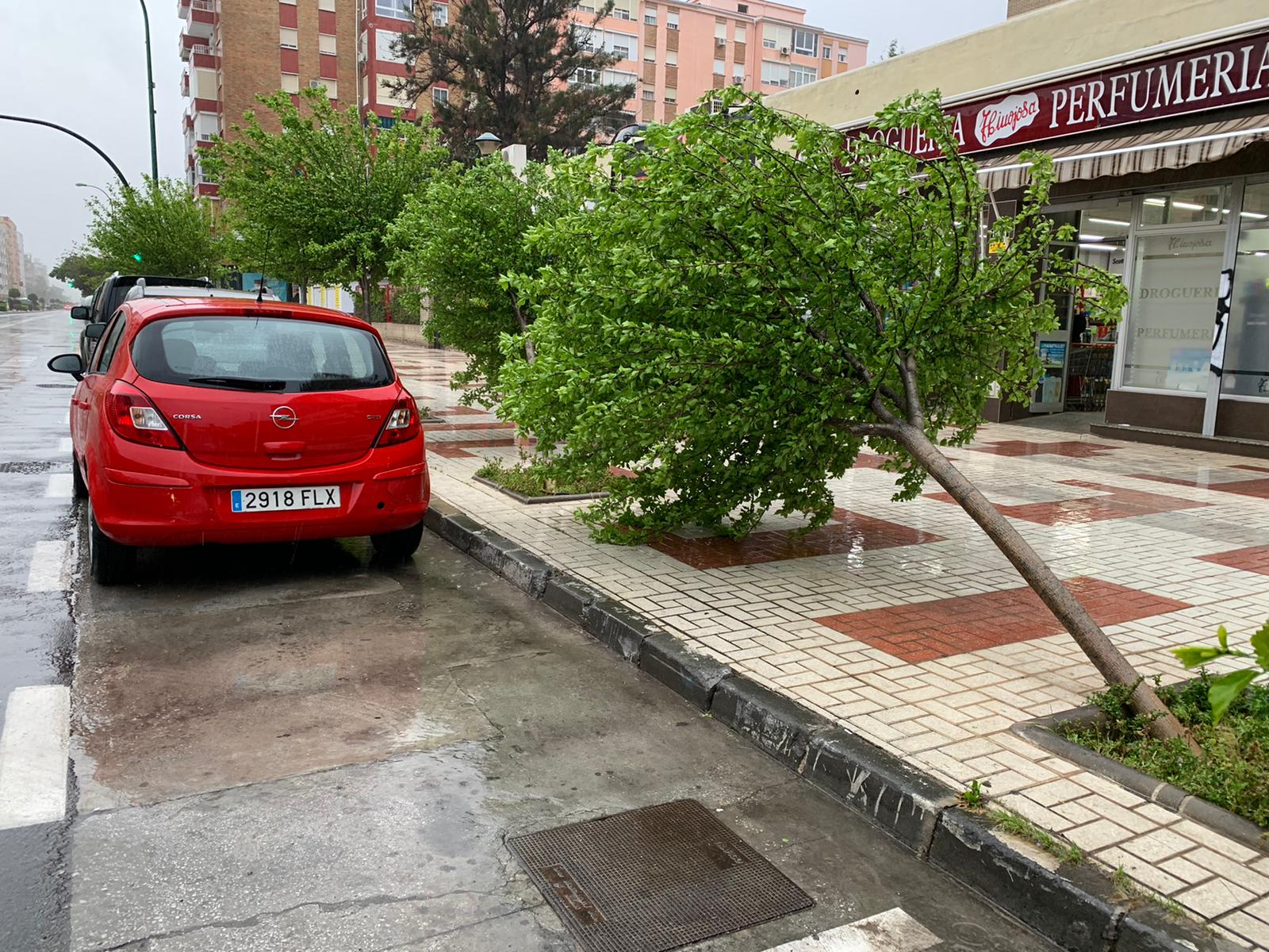 Efectos del temporal en la avenida Velázquez