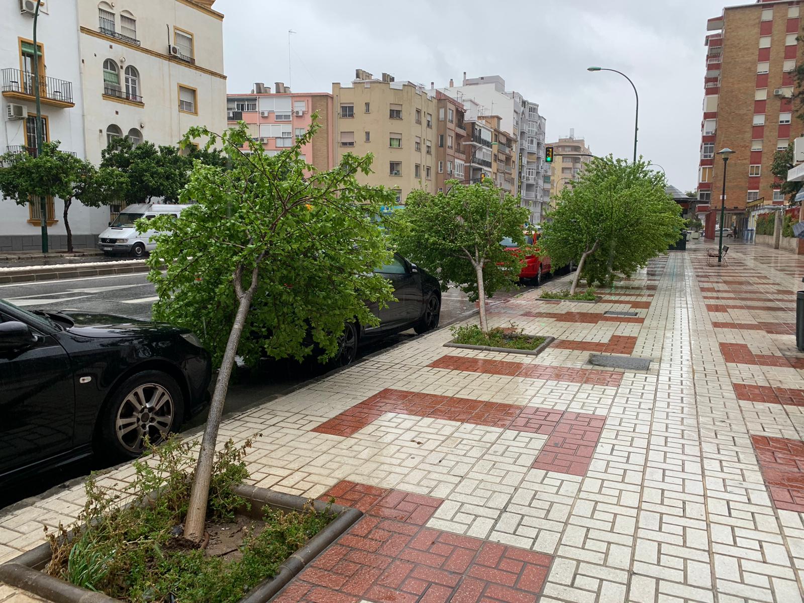 Efectos del temporal en la avenida Velázquez