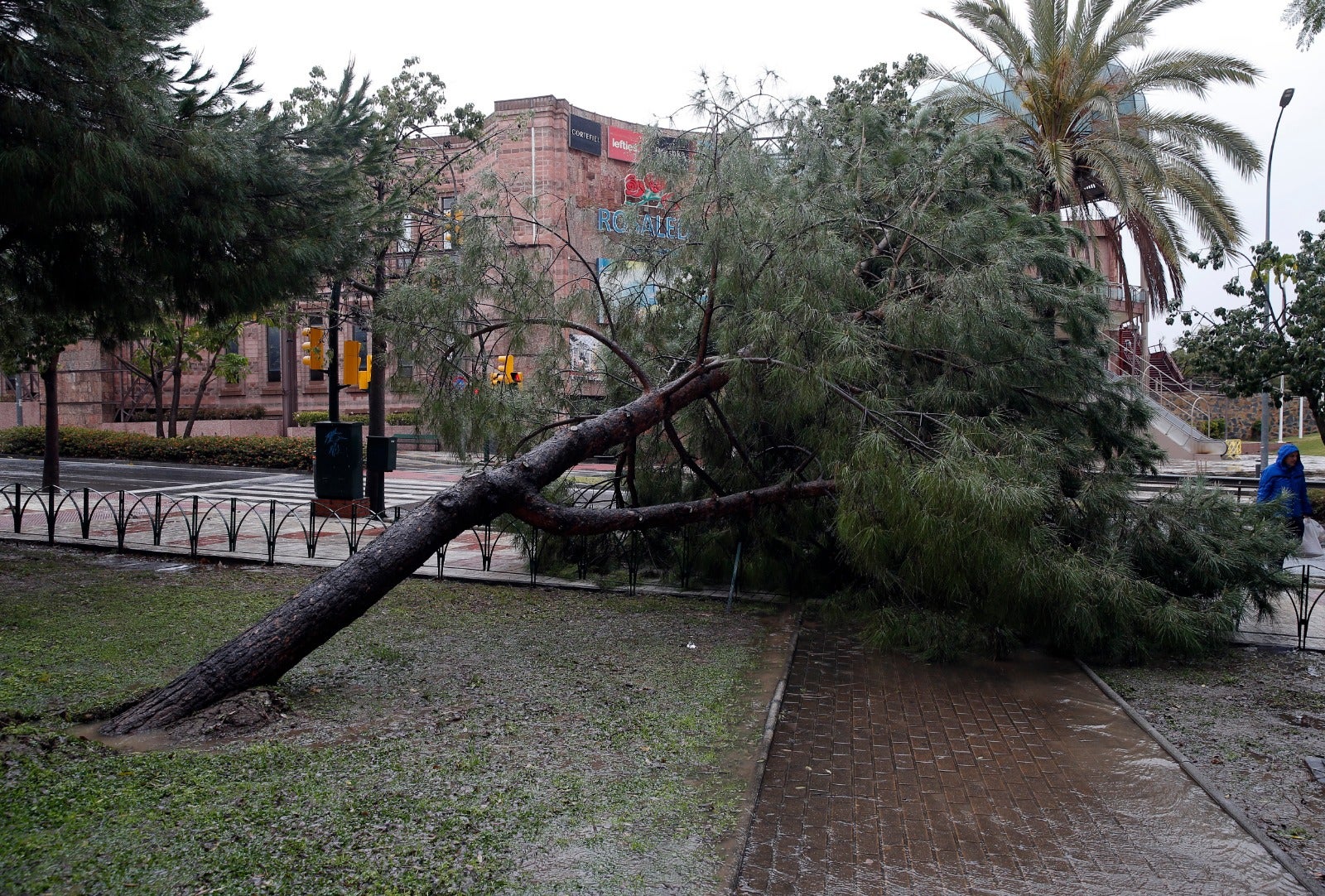 Efectos del temporal en Málaga, este martes.