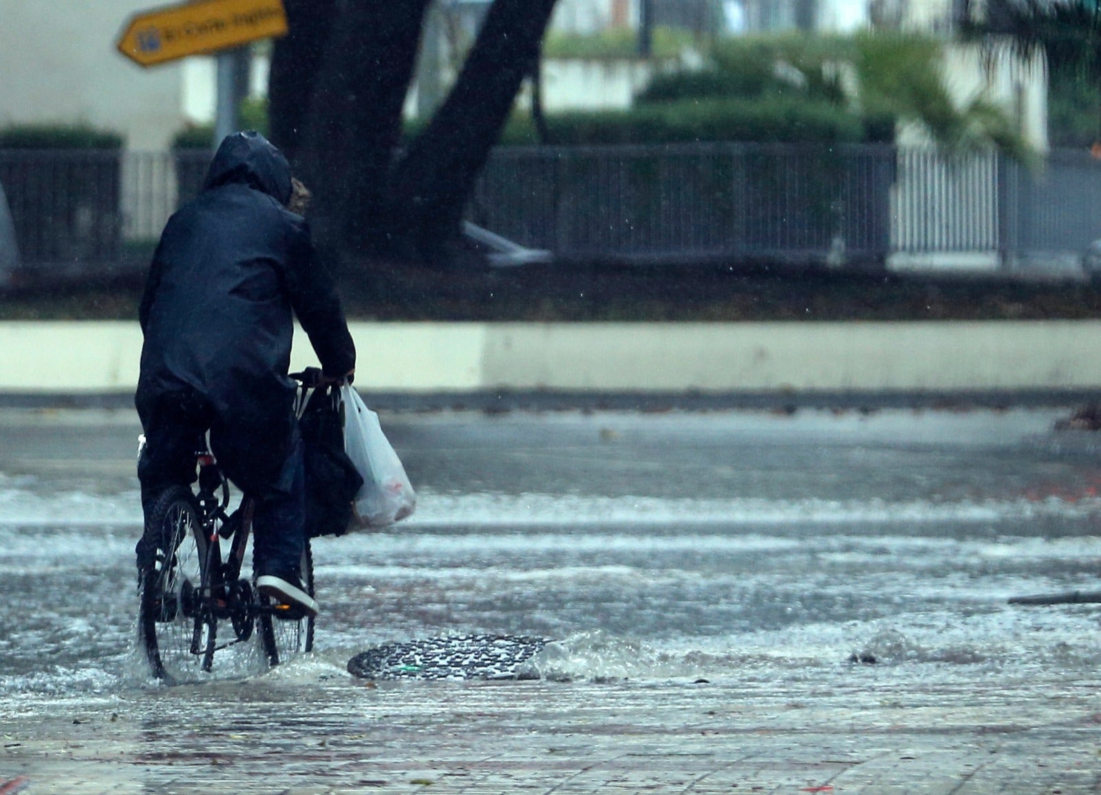 Efectos del temporal en Málaga, este martes.