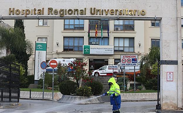 Galería. La Málaga vaciada (III): imágenes desde el 3 de hasta el 14 de abril.