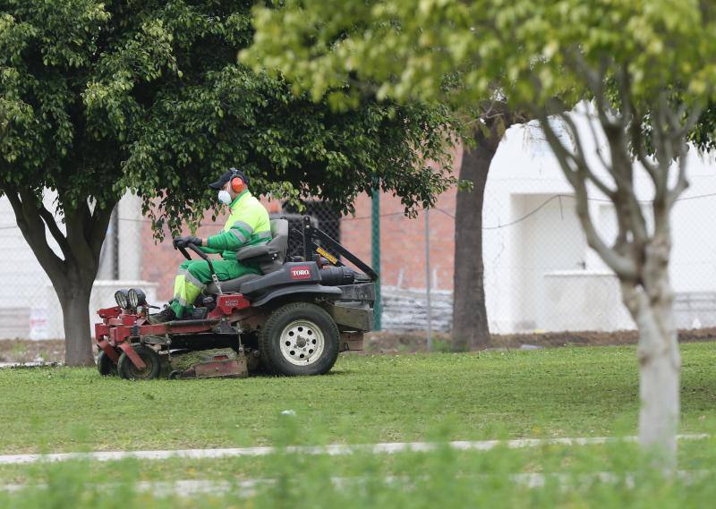 Los más de 50.000 trabajadores malagueños de la construcción vuelven al tajo con medidas reforzadas de prevención.Se han vuelto a poner en marcha otros servicios como la jardinería