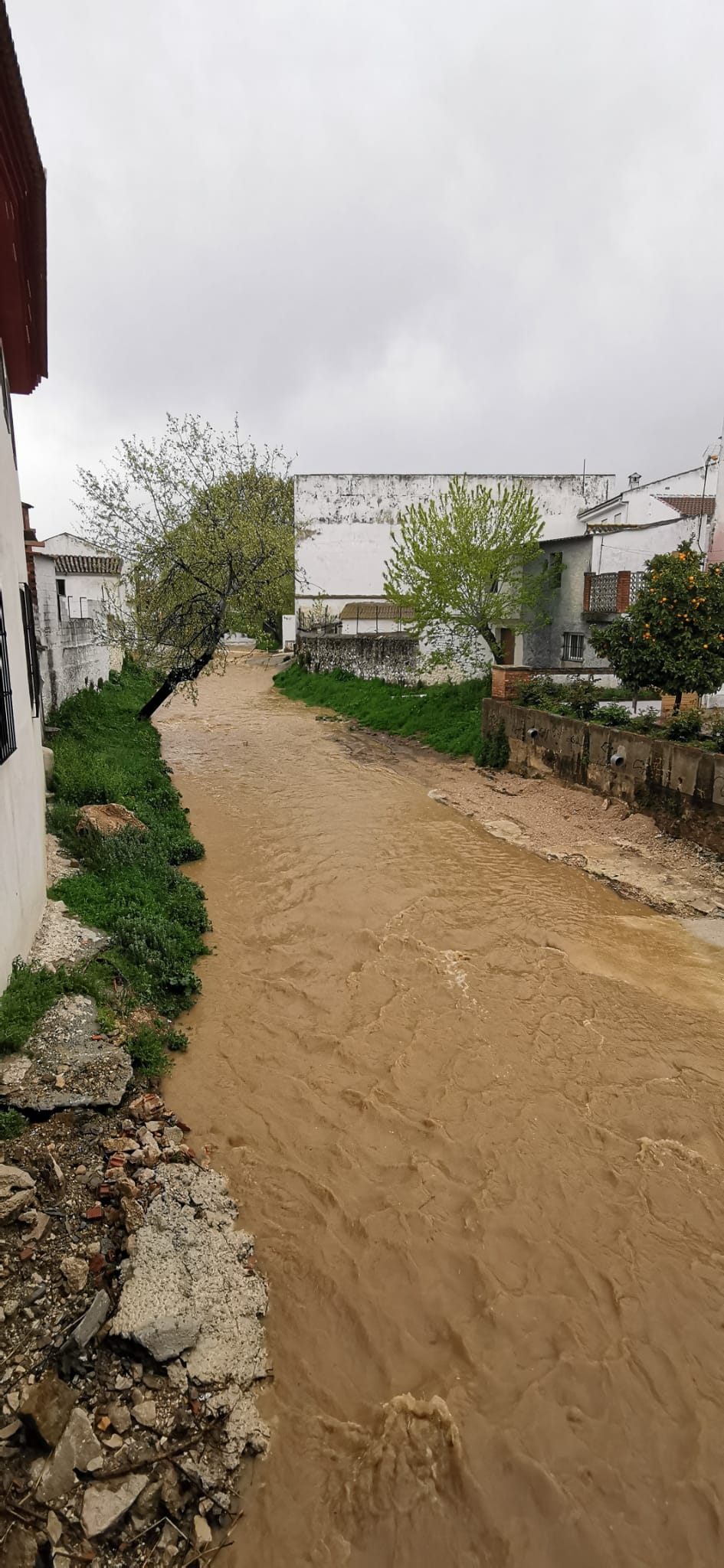 El estado de alarma deja estampas inéditas también en los pueblos de Málaga