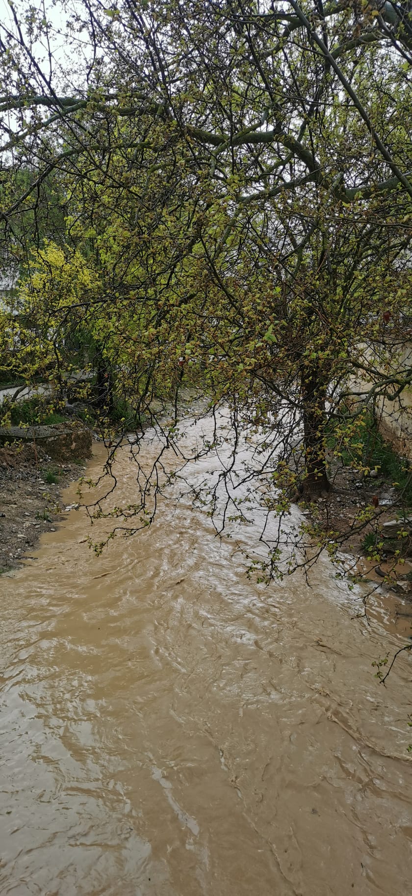 El estado de alarma deja estampas inéditas también en los pueblos de Málaga