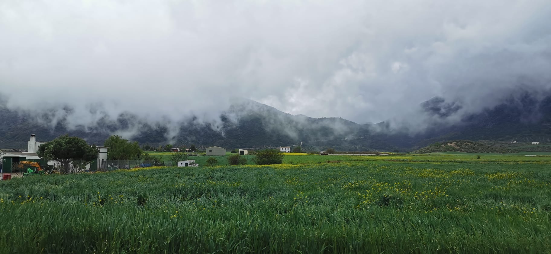 El estado de alarma deja estampas inéditas también en los pueblos de Málaga