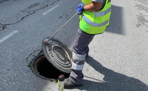 Trabajos de desinsectación en Nerja. 