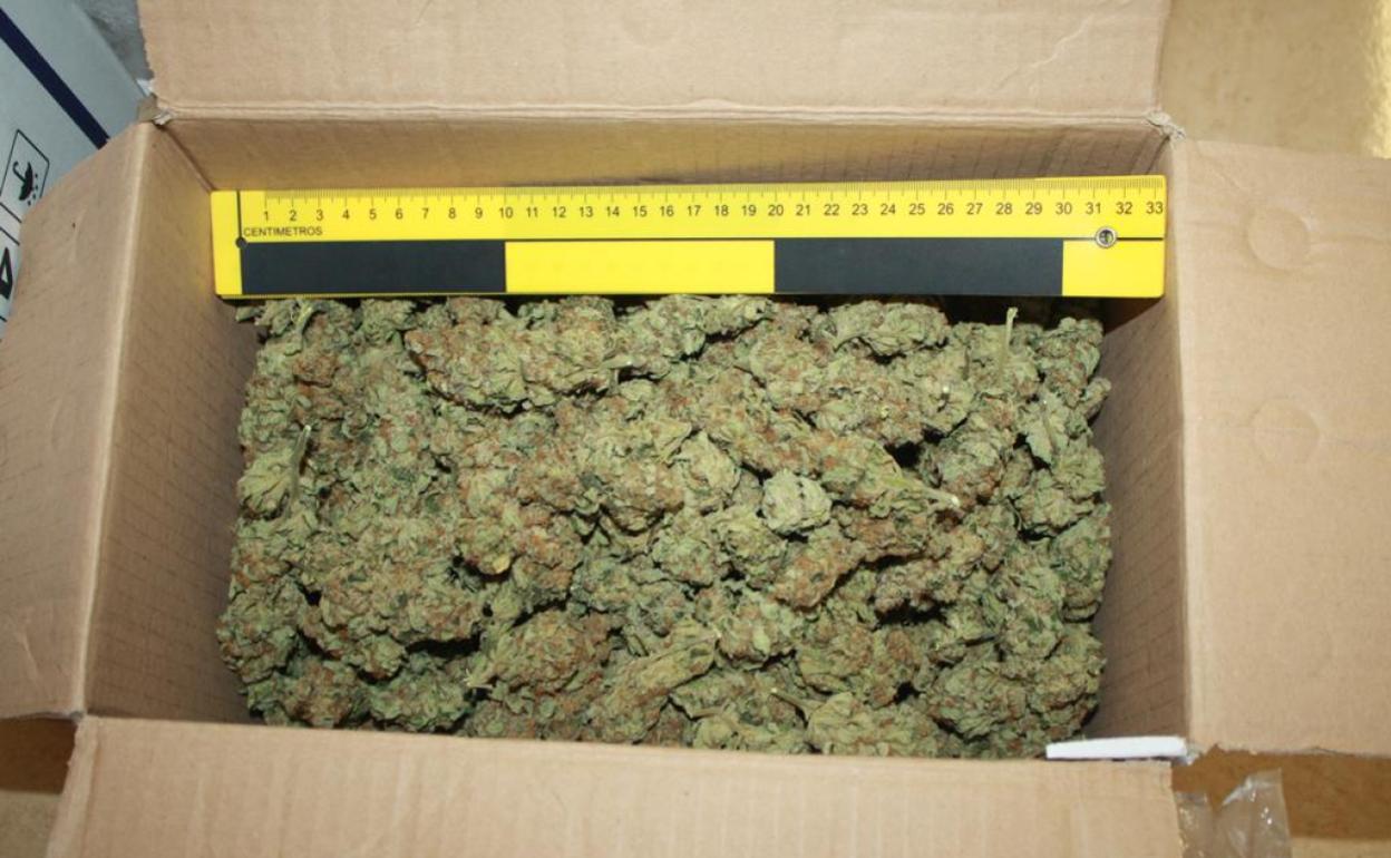 Imagen de la droga intervenida por la Guardia Civil. 