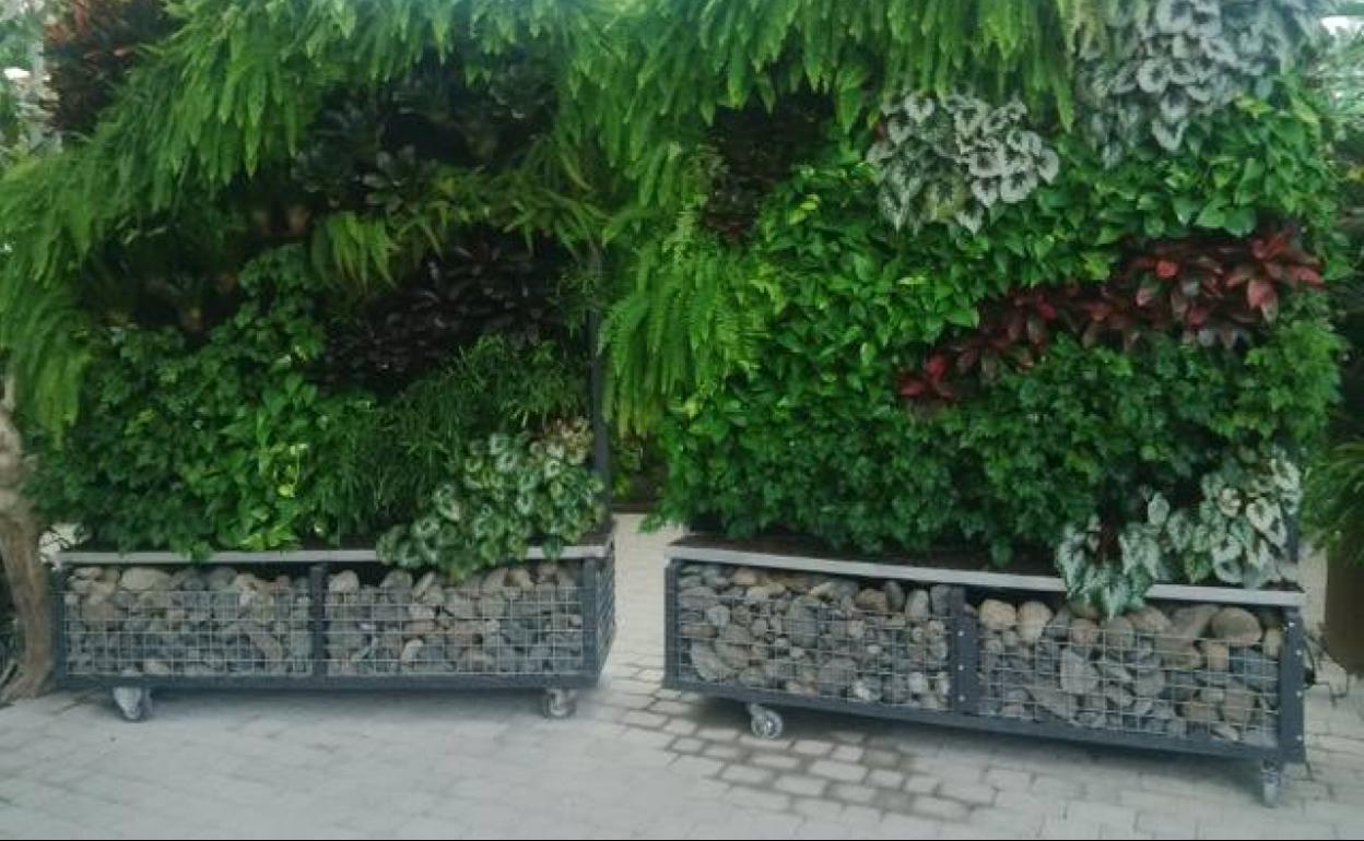 Jardineras higienizantes 