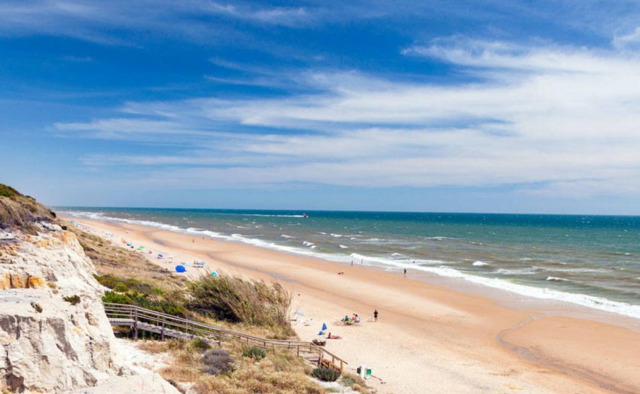 Así será la vuelta a las playas andaluzas en la fase 2 de la desescalada