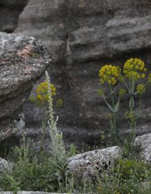 Imagen secundaria 2 - Distintas instantáneas del estado actual del Torcal, desde el que es posible ver el mar estos días.