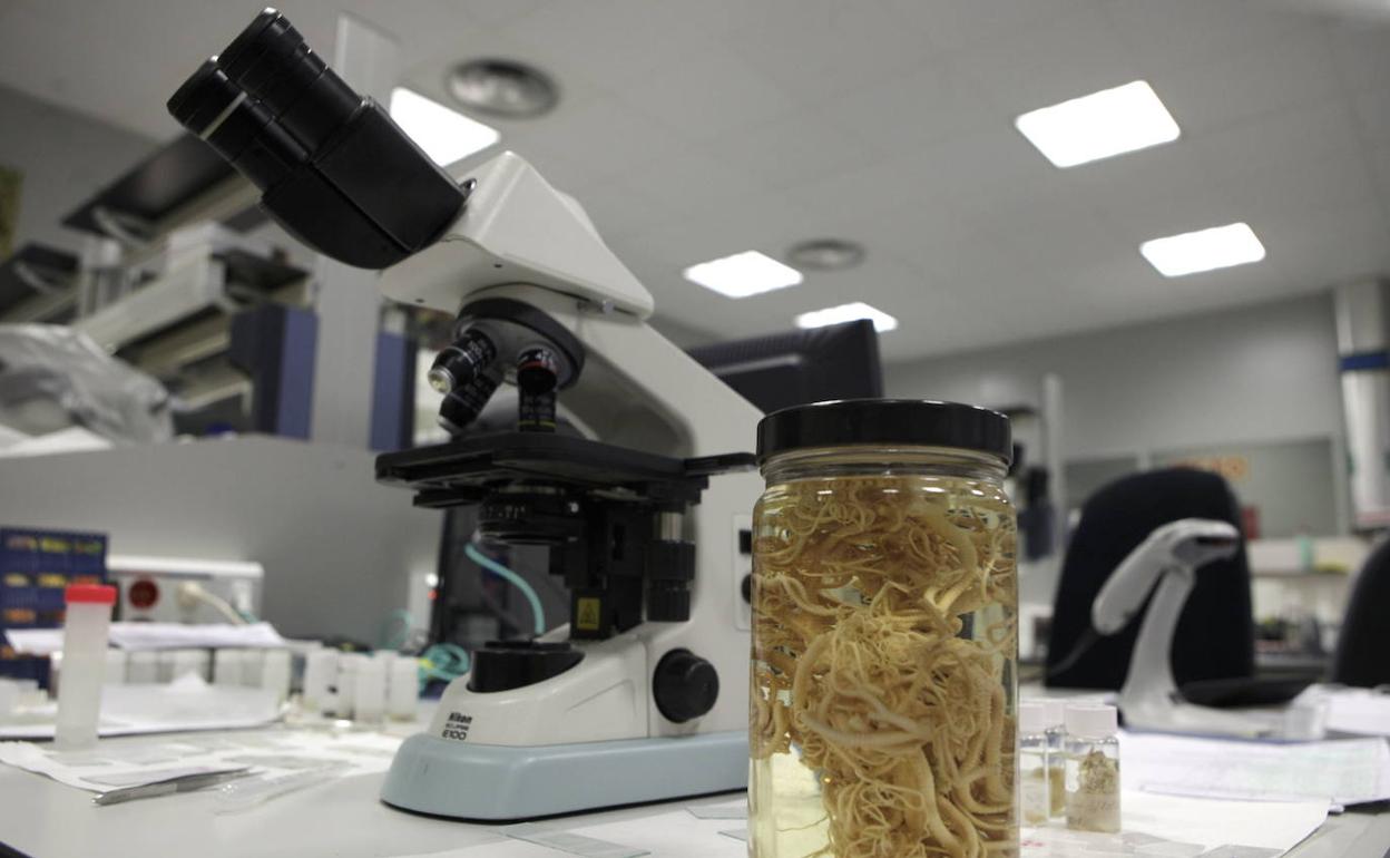 Instalaciones de PharmaMar, laboratorio español que estudia el poder curativo de la biodiversidad marina. 